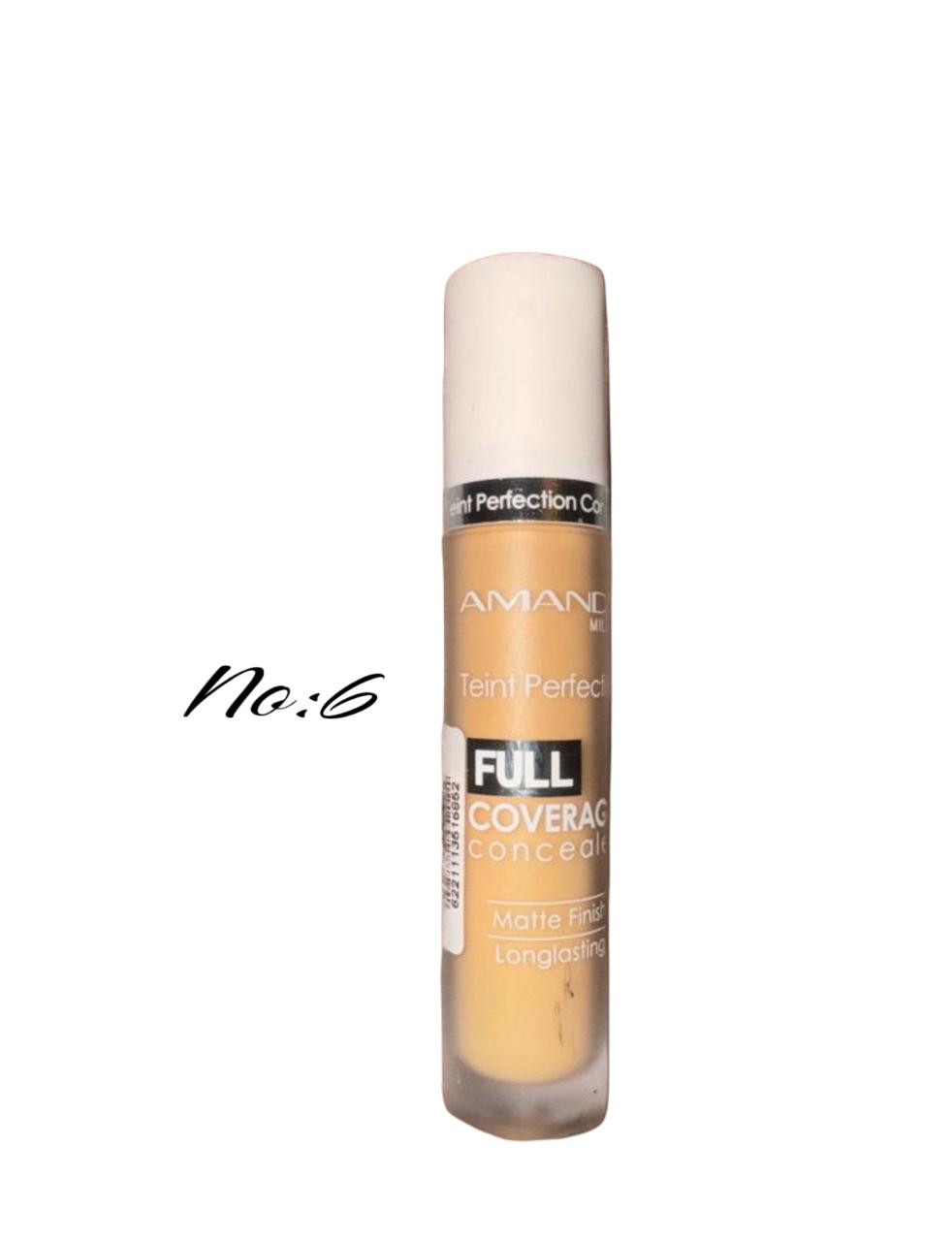 Teint Perfecteur Full Coverage Concealer NO:6